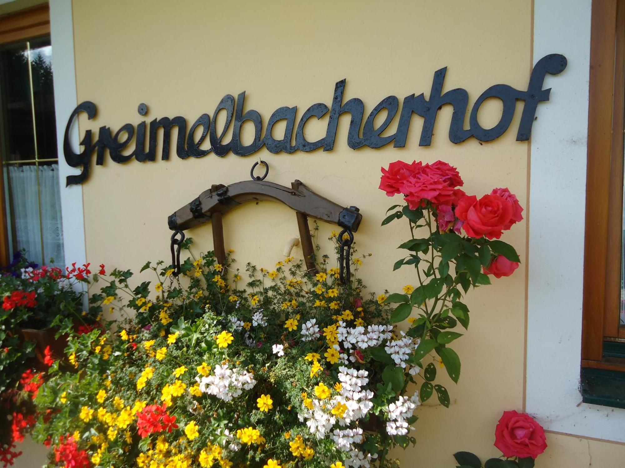 Pension-Greimelbacherhof Ramsau am Dachstein Exteriér fotografie