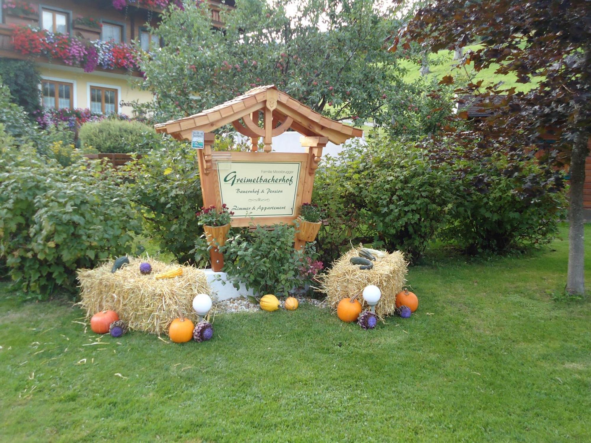 Pension-Greimelbacherhof Ramsau am Dachstein Exteriér fotografie