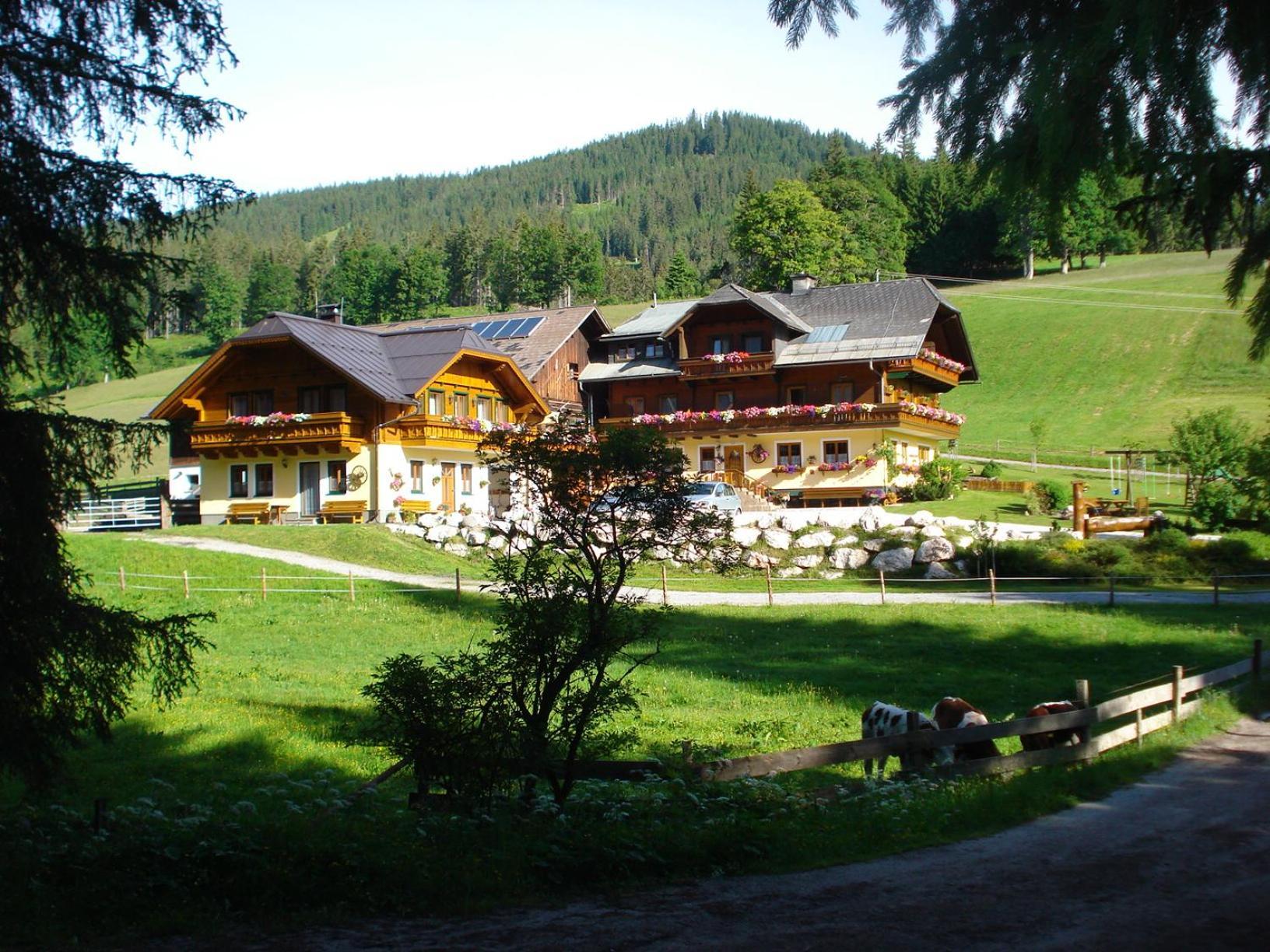 Pension-Greimelbacherhof Ramsau am Dachstein Exteriér fotografie