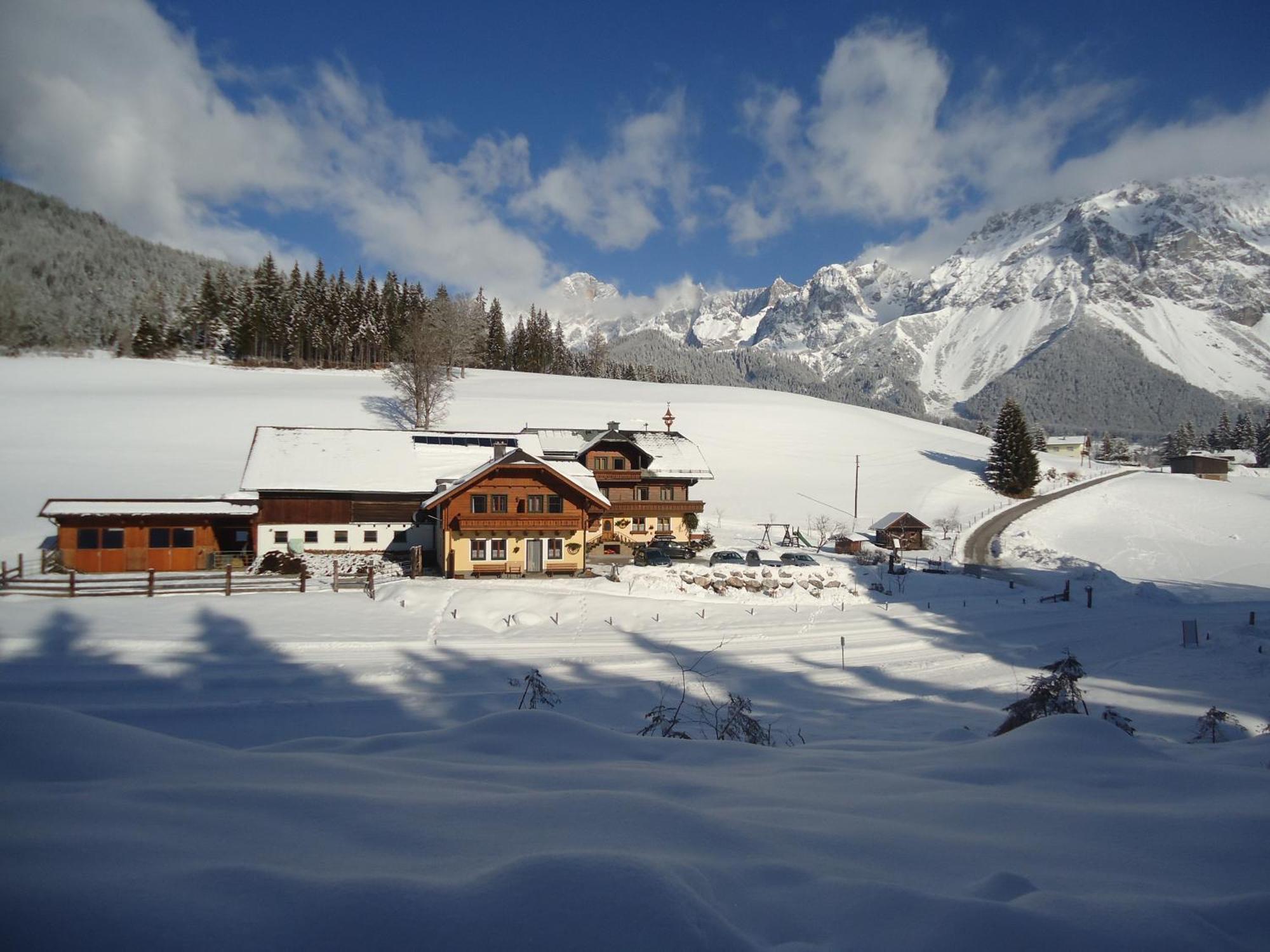 Pension-Greimelbacherhof Ramsau am Dachstein Exteriér fotografie
