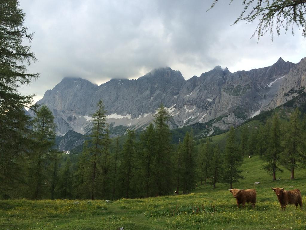 Pension-Greimelbacherhof Ramsau am Dachstein Exteriér fotografie