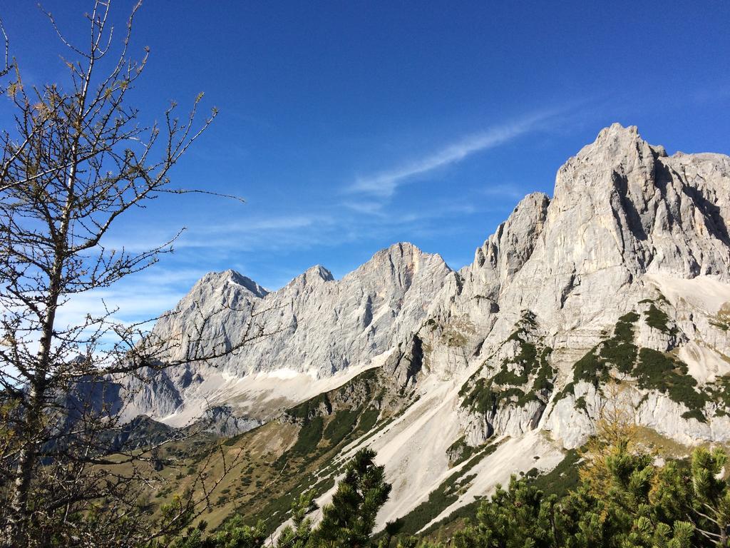 Pension-Greimelbacherhof Ramsau am Dachstein Exteriér fotografie