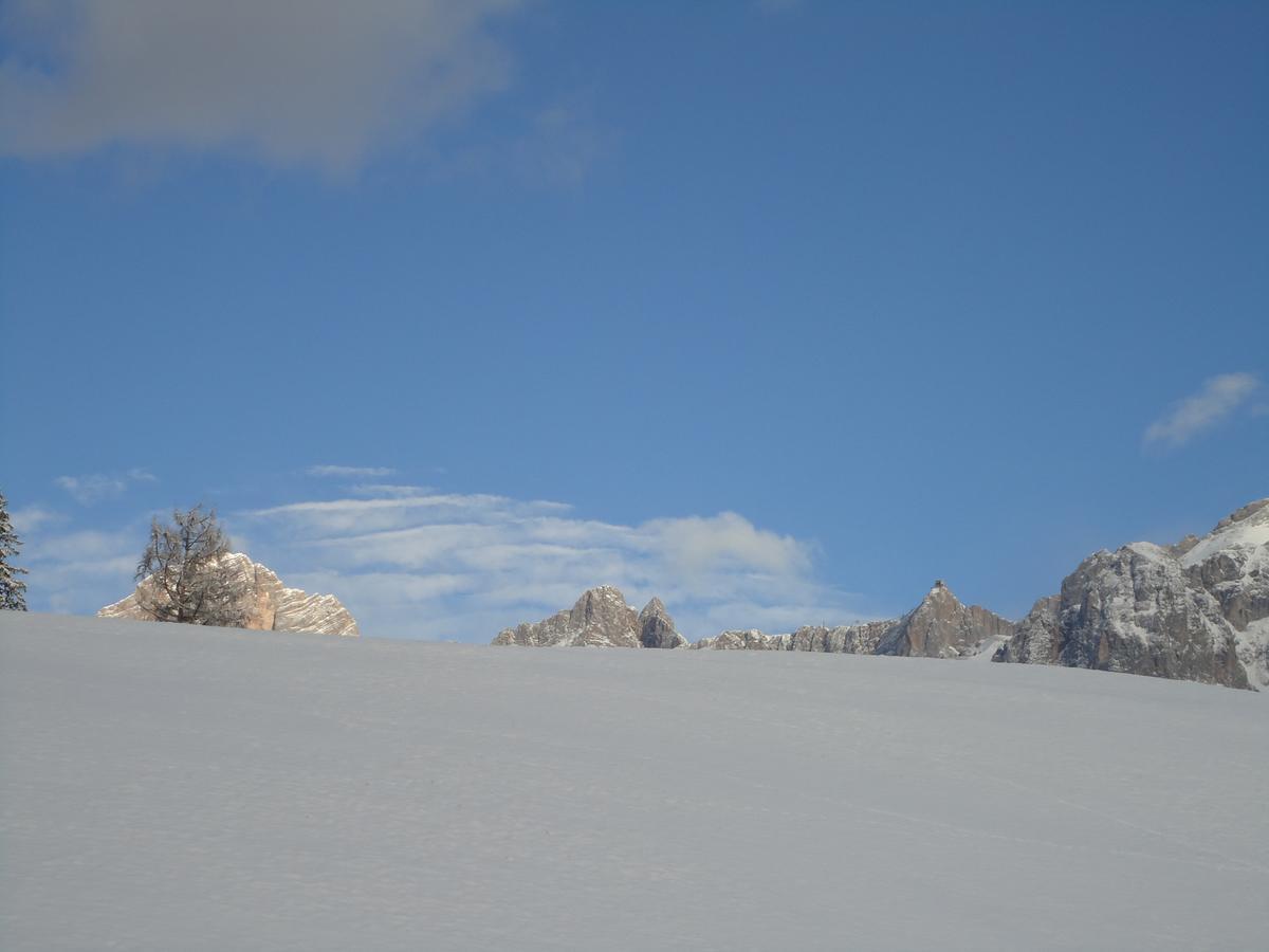 Pension-Greimelbacherhof Ramsau am Dachstein Exteriér fotografie