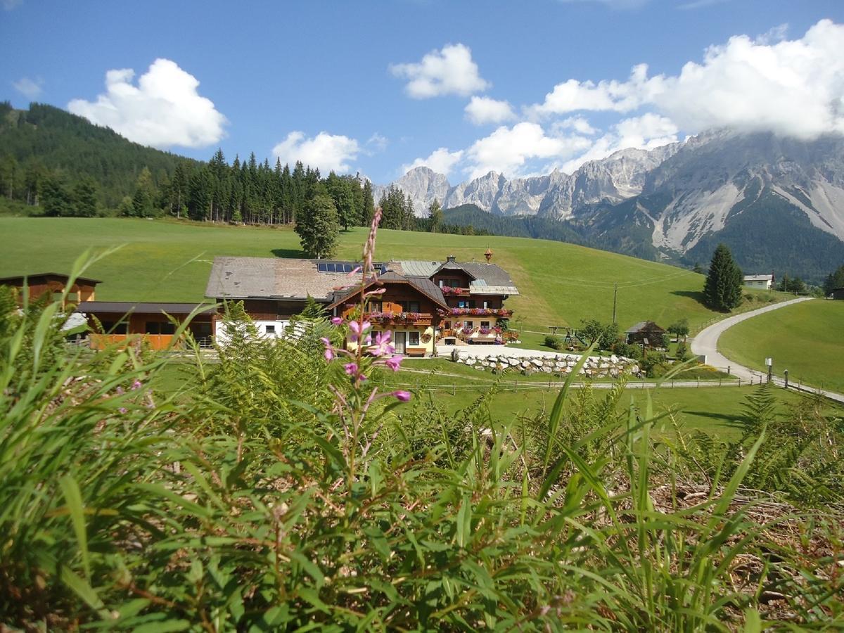 Pension-Greimelbacherhof Ramsau am Dachstein Exteriér fotografie