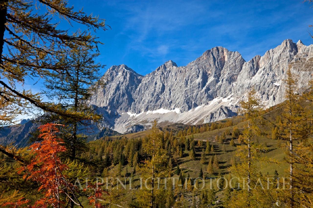 Pension-Greimelbacherhof Ramsau am Dachstein Exteriér fotografie