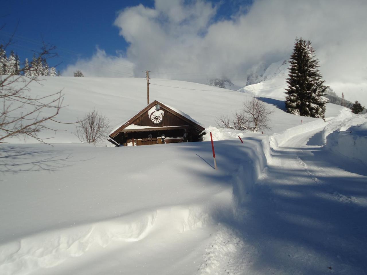 Pension-Greimelbacherhof Ramsau am Dachstein Exteriér fotografie