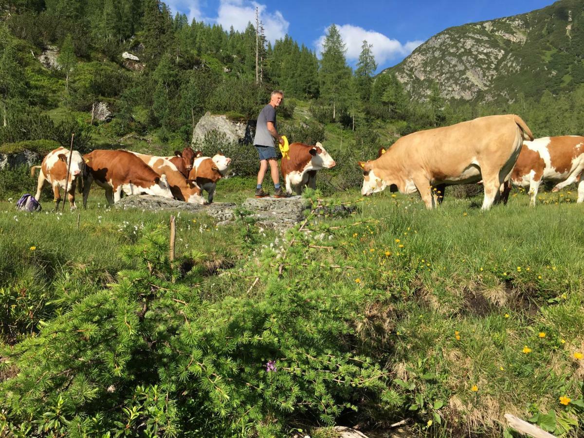 Pension-Greimelbacherhof Ramsau am Dachstein Exteriér fotografie